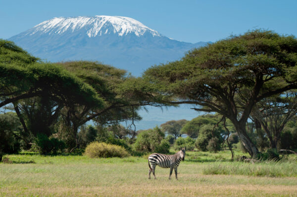 Kenia