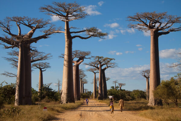 Madagaskar