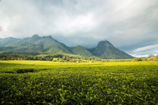 Malawi
