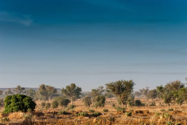 Niger